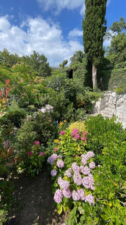 Mountains Villa Near Budva Exterior photo